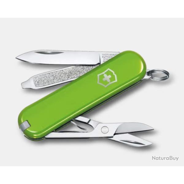 Couteau VICTORINOX Classic SD green