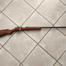Carabine monocoup calibre 36