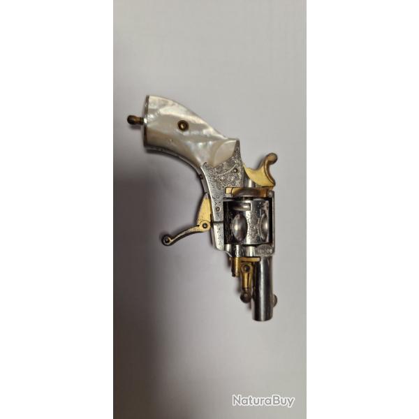 revolver 22 Rimfire puppy
