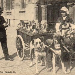 Carte Postale Ancienne Laiti&egrave;re Flamande Chien Chariot  -N&deg;8682