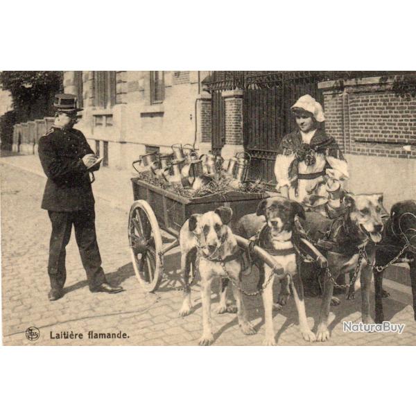 Carte Postale Ancienne Laiti�re Flamande Chien Chariot  -N�8682