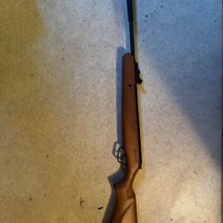 Carabine a plomb Stoeger
