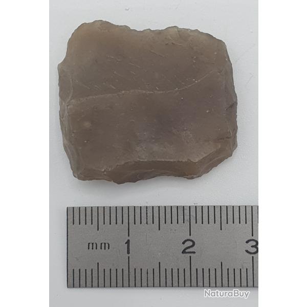 Silex : 30 mm x 25 mm n�6.
