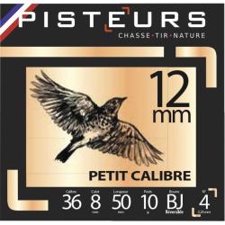 250 Cart. pisteurs petit calibre cal. 12 mm / 50 mm n&deg; 5