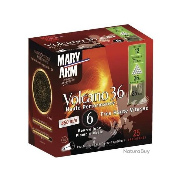 100 Cart plomb nickele mary arm volcano n6