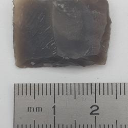 Silex : 24 mm x 17 mm n&deg;10.