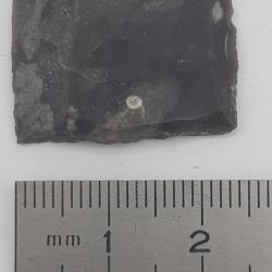 Silex : 24 mm x 18 mm n&deg;11.