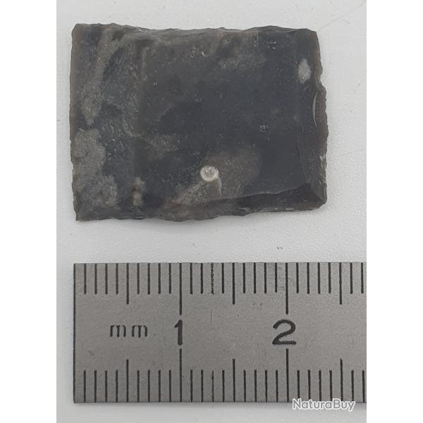 Silex : 24 mm x 18 mm n�11.