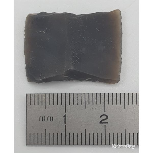 Silex : 25 mm x 18 mm n�12.