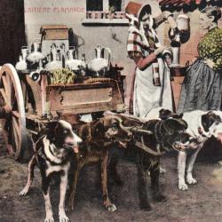 Carte postale de la Laiti&egrave;re Flamande -N&deg;8684