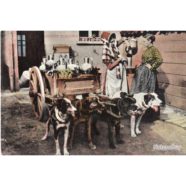 Carte postale de la Laiti�re Flamande -N�8684