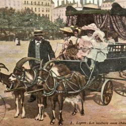 Carte Postale - 1. Lyon La voiture aux ch&egrave;vres, place Bellecour -N&deg;8685