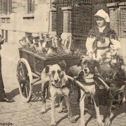 Carte postale ancienne Laiti&egrave;re flamande -N&deg;8686