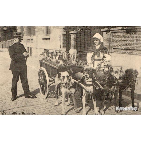 Carte postale ancienne Laiti�re flamande -N�8686