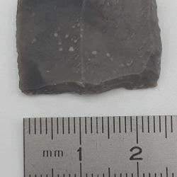 Silex : 25 mm x 18 mm n&deg;16.