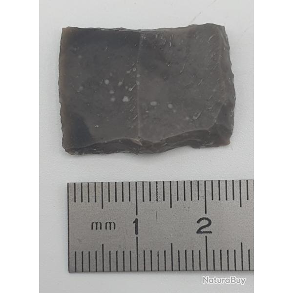Silex : 25 mm x 18 mm n�16.