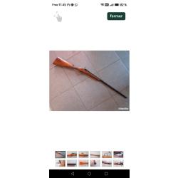 Carabine warnant