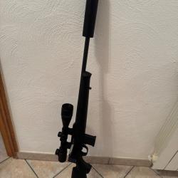17hmr silencieux et lunette