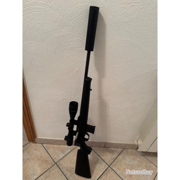 17hmr silencieux et lunette