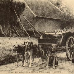 Carte Postale Ancienne - La Vall&eacute;e de la Semois Pittoresque - Laiti&egrave;re -N&deg;8688