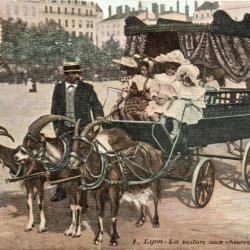 Carte postale ancienne de Lyon  -N&deg;8691