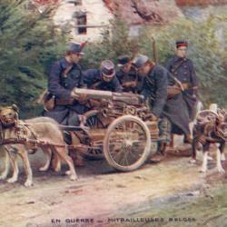 Carte Postale Ancienne - En Guerre - Mitrailleuses Belges -N&deg;8694