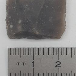 Silex : 24 mm x 17 mm n&deg;17.