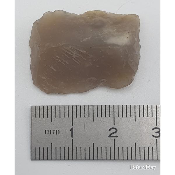 Silex : 27 mm x 20 mm n�20.
