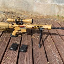 M4 lancer tactical DMR CUSTOM
