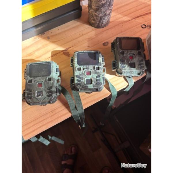 camera de chasse