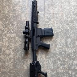 Carabine Troy par 308
