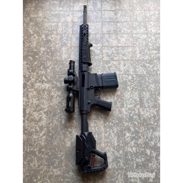 Carabine Troy par 308
