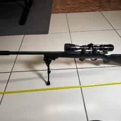 CZ 455 Varmint Synth&eacute;tique .22 LR + lunette Bushnell + bipied Harris + silencieux B&T + mallette