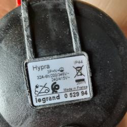 Fiche femelle 32 a tetra