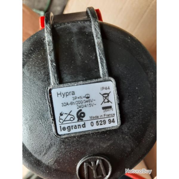 Fiche femelle 32 a tetra