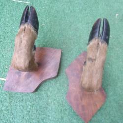 r&acirc;telier ou porte-fusil une arme hauteur 14 cm