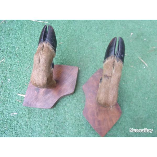 r�telier ou porte-fusil une arme hauteur 14 cm