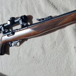 Carabine Sidna 22lr semi auto mod22M1