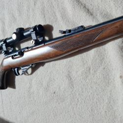 Carabine Sidna 22lr semi auto mod22M1