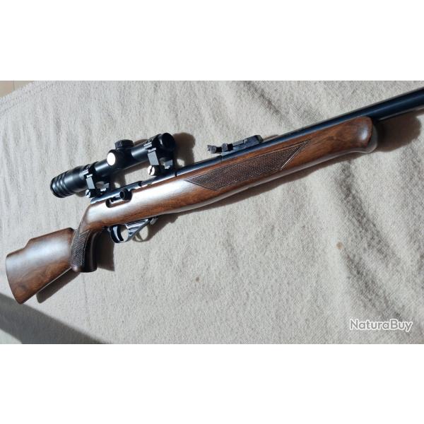 Carabine Sidna 22lr semi auto mod22M1