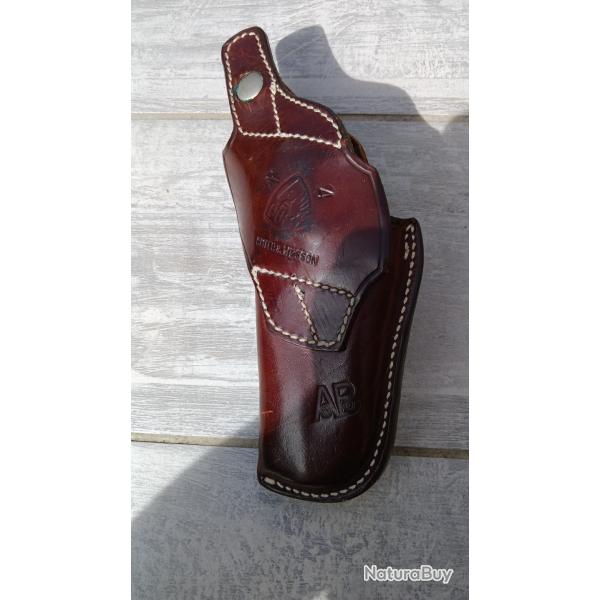 Holster pony