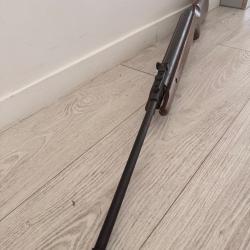 Carabine &agrave; plomb swiss arms 19,5joules
