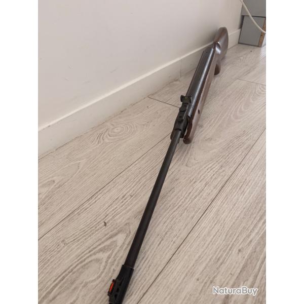 Carabine � plomb swiss arms 19,5joules