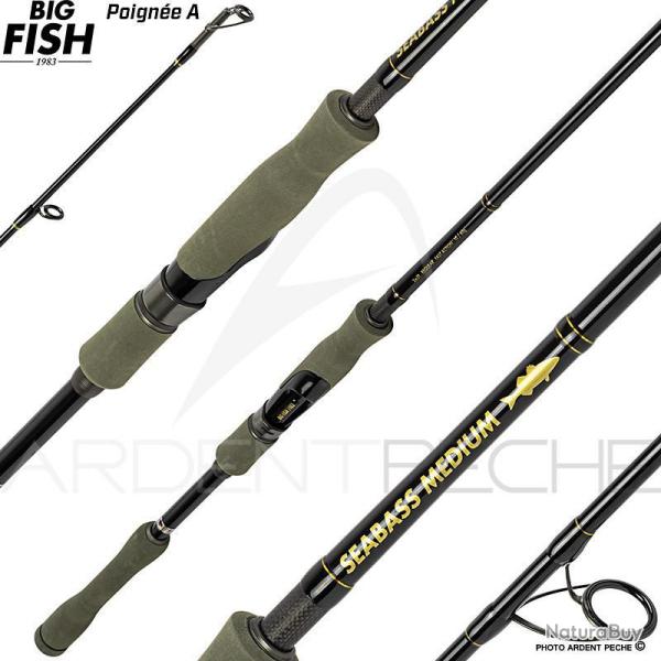 Ench�re � 1�!  BIG FISH 1983 Seabass Seabass medium