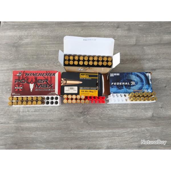 Lot de munitions calibre 300 win mag
