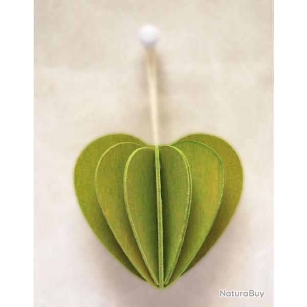Coeur en bois de bouleau rose rouge vert d�coration LOVI vert
