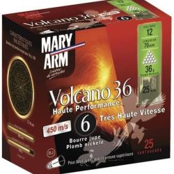 250 Cart plomb nickele mary arm volcano n6