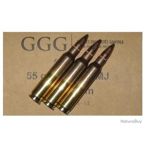 GGG 223 REM 55GR X 50
