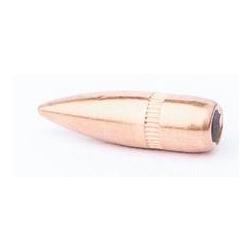 CAM PRO 223FMJ 55GR X500