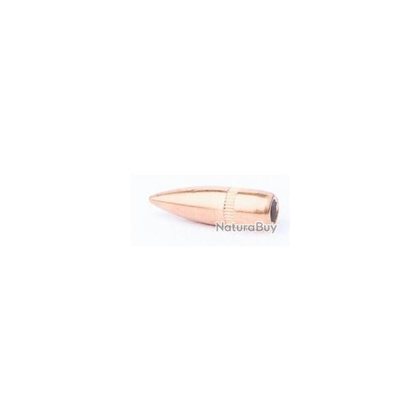 CAM PRO 223FMJ 55GR X500